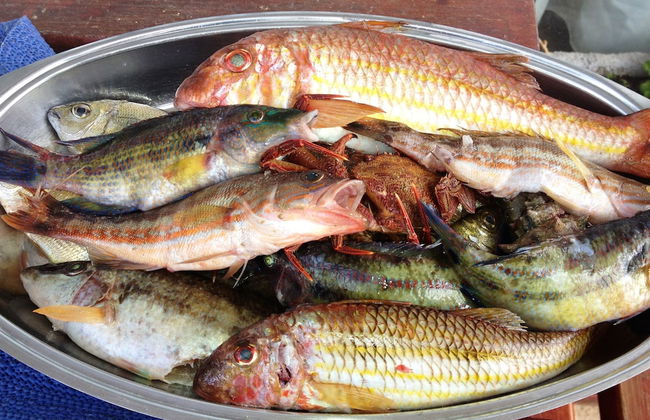 House Mladen - Foto 24