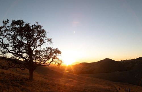 King Bed, Gym, Hot Tub, Parking - Foto 11