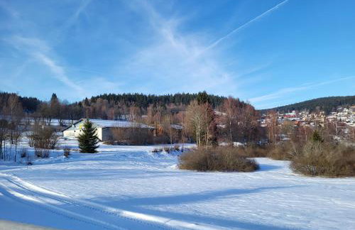 Bergzauber Bayerwald - voll ausgestattetes Familienapartment mit Pool - Foto 72