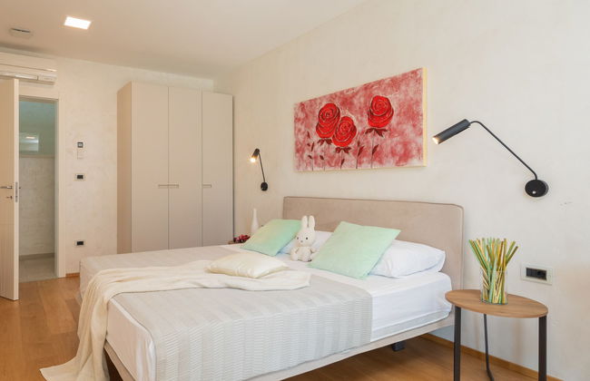 Old Olive VIII - Foto 20