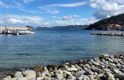 Agave Marina - Foto 48