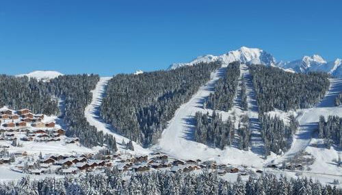 Les Saisies côté Bisanne appartement dans chalet LE Népal - Foto 5
