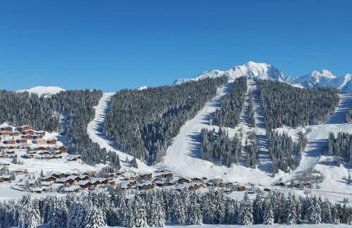 Les Saisies coté Légette appartement dans chalet LE NEPAL - Foto 24