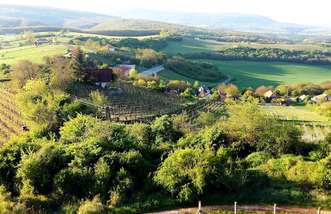 Room in Farmhouse - Rustic Charm - two Bedroom Suite 8601 - Foto 21