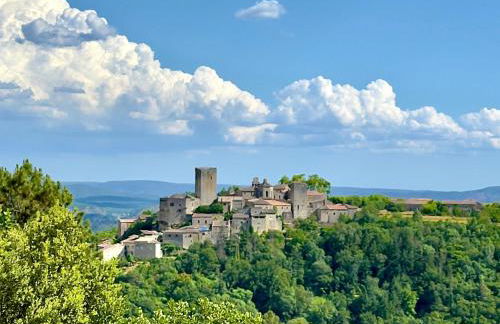 "Clair de Lune" Gîte sur 6000 m2 arborés - Foto 30