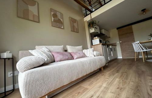 L'arbre de soie Futuroscope Albizia - Foto 26