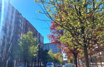 Il Piccolo Rifugio - Photo 27