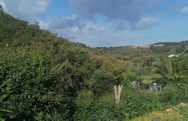 The Farm, Maria Serrao Aljezur - Foto 17