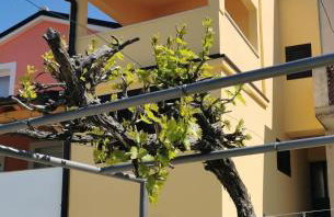 Guesthouse Stivan (920) - Foto 29