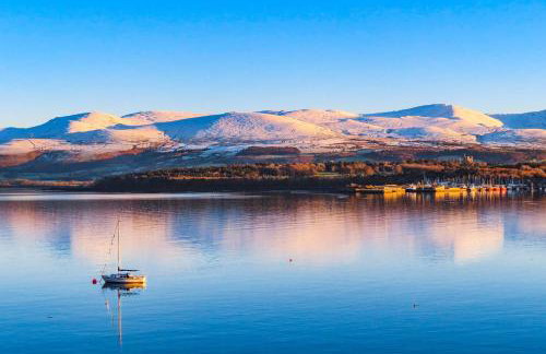 Cwt Mochyn - Foto 27