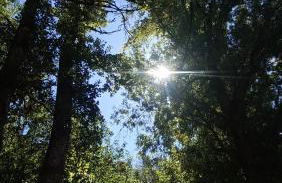 Azahares Apartamento turístico - Foto 43