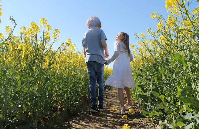 Modern Apartment in Elmenhorst Near Sea - Foto 66