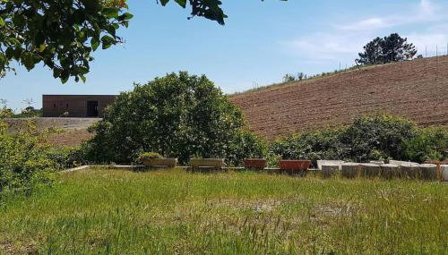 Charmant T3 en rez de jardin d'une villa - Foto 2, Garden view