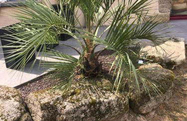 Gîte entièrement rénové Bord de Sèvre - Photo 22