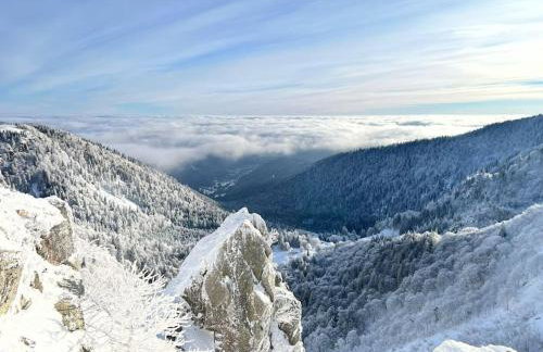 RELAX CHALET Nature Retreat - isolé sur 3 hectares - confort de LUXE - maison entière 150m2 - près de La Bresse - Foto 45