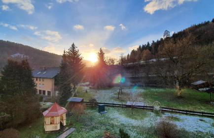 Ferienwohnung Sägemühle - Foto 39