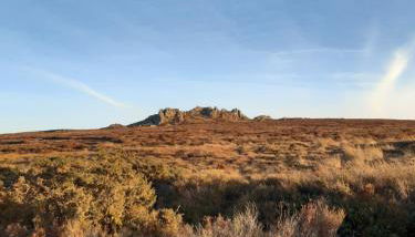 Jasmine Cottage - Foto 2