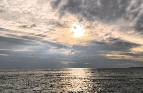 Gite de Kervao, Camélias, proche mer (800 mètres), meublé tourisme 3 étoiles - Foto 11