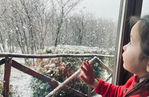 Feudo Magazzeni Etna - Foto 23