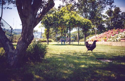 Agriturismo Casal San Sergio - Photo 57