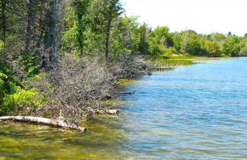 Schoolhouse Lake Retreat with Free Pontoon - Foto 9