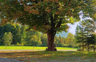 Naturhaus Leger - Photo 17