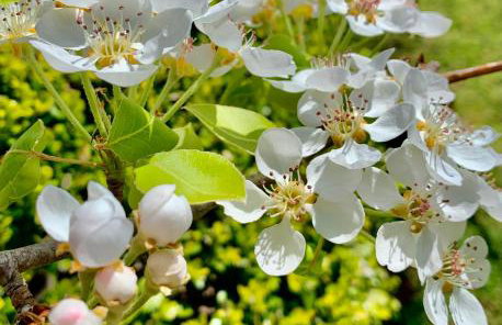 Aggelos and Thisbe Chania Suburbs Sea View Guest House - Foto 45