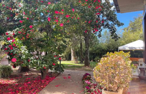 Appartamento in Villa con giardino vicino al mare - Foto 5