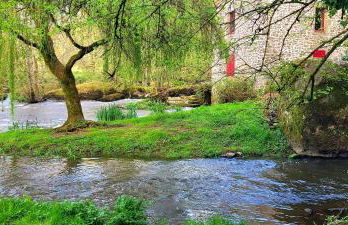Maison Cosy Rénovée - Puy du Fou - Photo 18