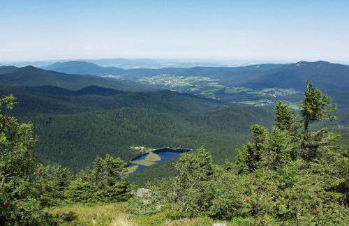 Ferienwohnung Dimpfl-Stad´l Fam. Lemberger - Foto 15