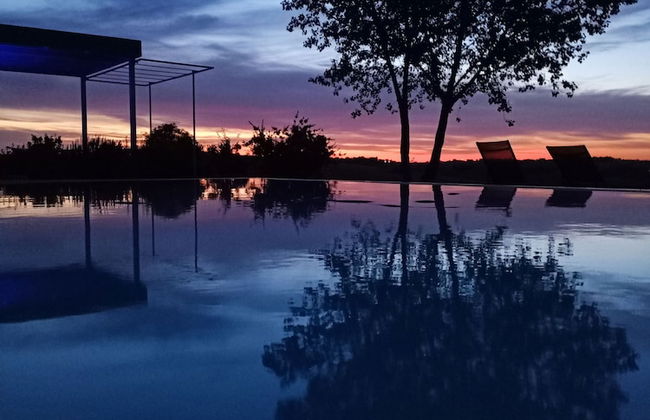 La Vita Nuova - Foto 56