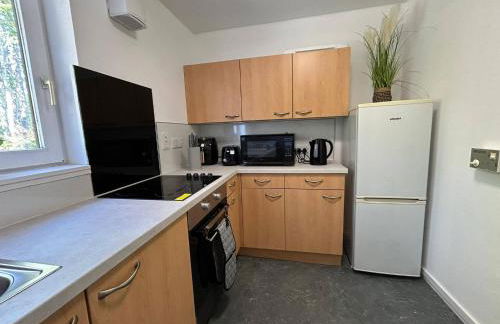 Two bedroom cottage in Lumsden - Contractors - Foto 16