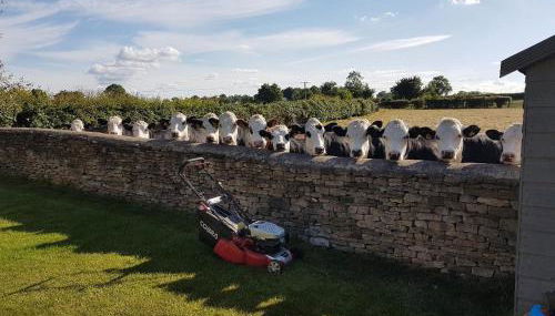 Luxury Cottage in Idyllic Cotswold Village nr Bath - Foto 3