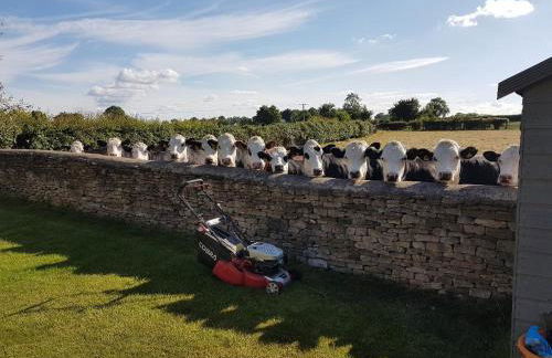Luxury Cottage in Idyllic Cotswold Village nr Bath - Photo 3