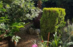 Epi Apartments - Foto 66