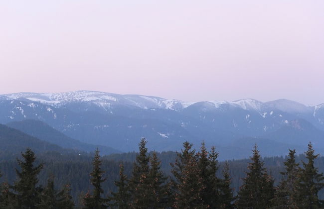 Mtn View Ski Apt - Sleeps4, Petok, 5 Min Ski Lift - Foto 22