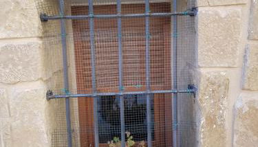 Natura Jordan - Foto 4