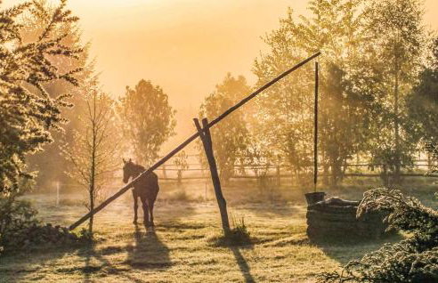 Three-Bedroom Holiday Home In Milakowo - Foto 33