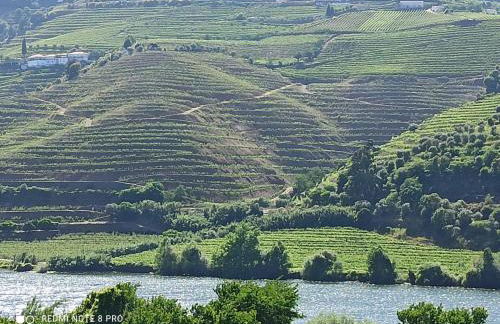 Vineyards Valley House - Foto 24