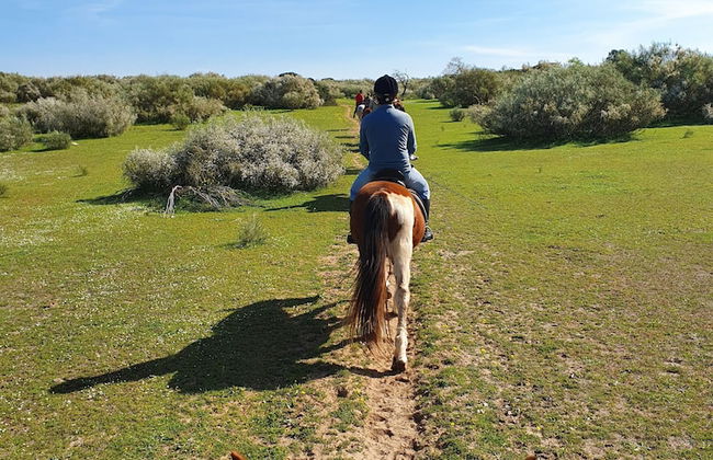 Quinta Pedra dos Bicos - Foto 25