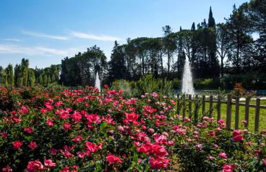 Masseria GiòSole - Foto 13