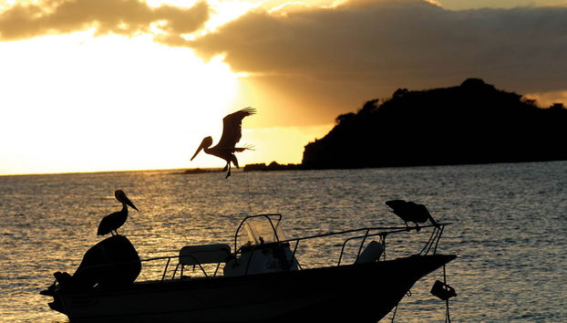 Pesca en alta mar - Foto 2