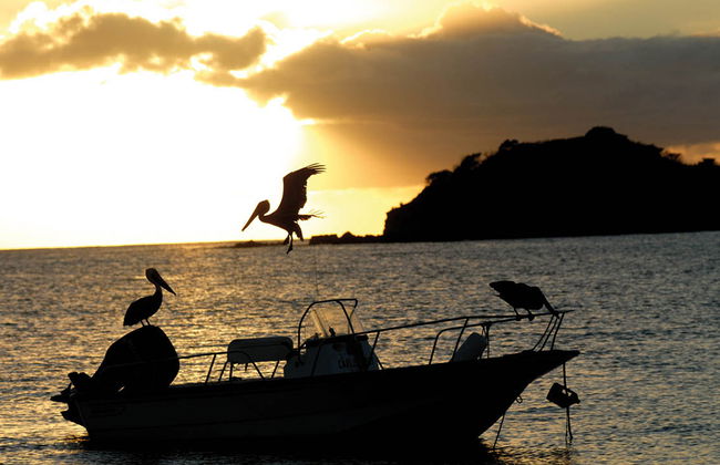 Pesca en alta mar - Foto 2