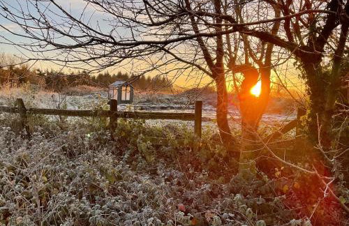 The Wizards Cauldron -Harry Potter Themed - Foto 21