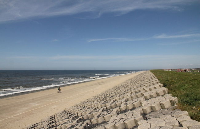 Unique Studio on Large Estate With sea View - Photo 19