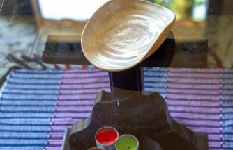 Casa de Família (Campo) - Foto 8