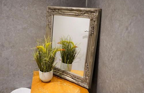 Ivy Cellar - 1 Bedroom apartment - Tenby - Foto 12