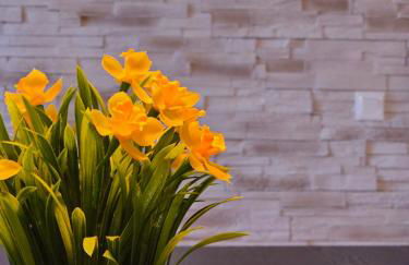 Au Refuge Hyper centre Joigny - Foto 10