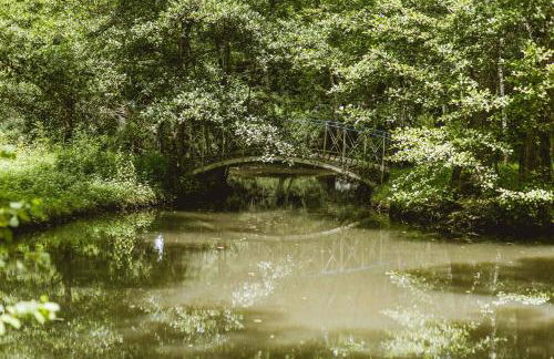 Domaine de Pérenard - Foto 35