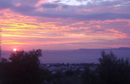 Agriturismo L'Olivara - Foto 39